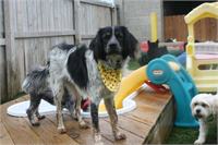daycare pic 95 - play time